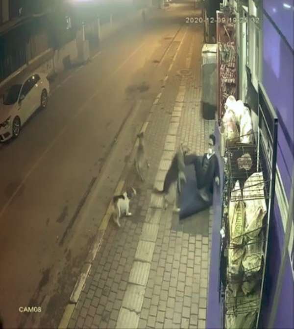 Sokak köpeklerinin saldırısını tekmeyle püskürttü 