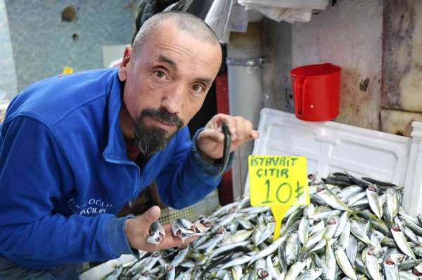 Samsun'da mevsim balıklarının fiyatı 10 TL ile 30 TL arasında değişiyor