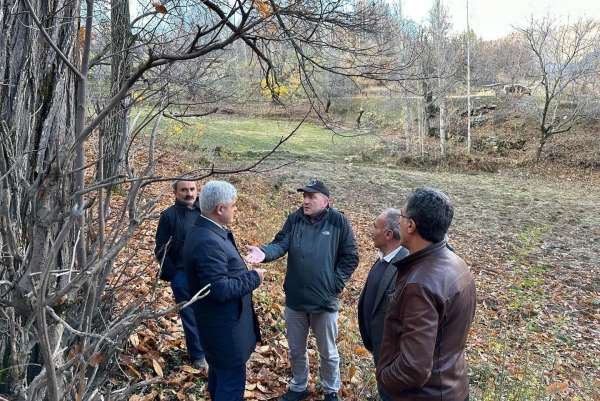 Bitlis'te kestane üretiminde verimi arttırma çalışmaları sürüyor
