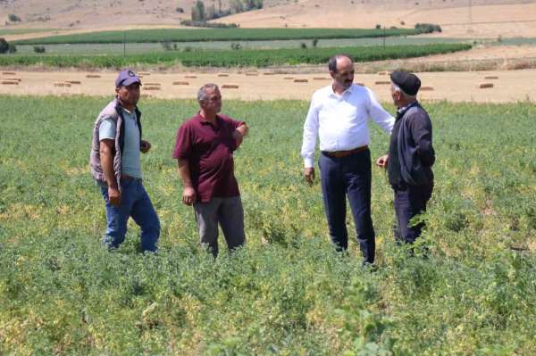 Çorum'daki sel, dolu su baskınlarından etkilenen çiftçiler için 20 milyon liralık destek