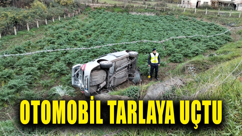 Bafra'da otomobil tarlaya uçtu
