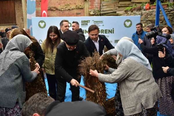 Balıkesir'de susam üreticisine büyük destek: Alım fiyatı 155 TL'ye yükseldi