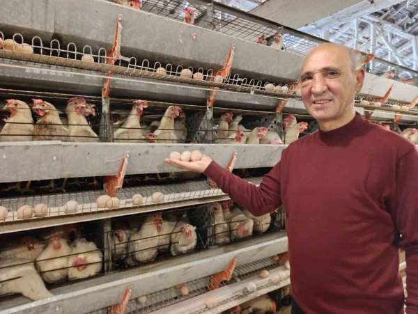 Simav'ın Kuşu beldesinde günlük 15 bin yumurta üretimi