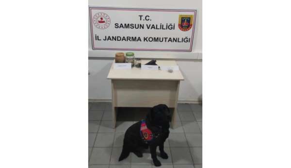 19 Mayıs'ta uyuşturucu ve tabanca ele geçirildi