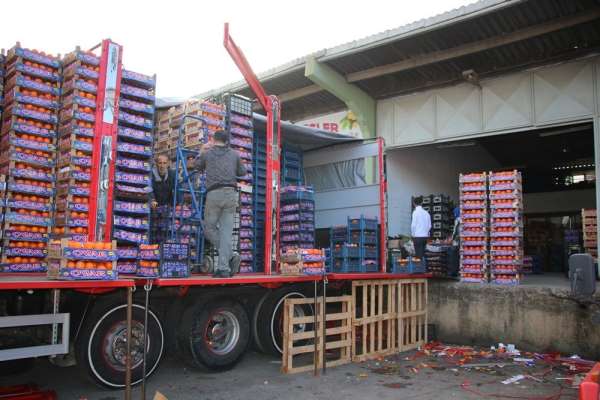 Yalova'daki meyve sebze halinden 2 ayda 5 bin 177 ton ürün çıkışı