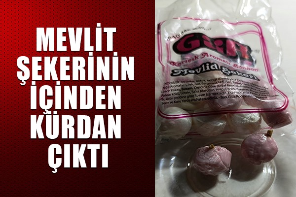 Samsunlu firmanın ürününde kürdan çıktı