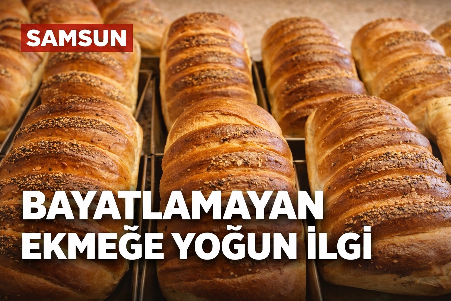 Bayatlamayan ekmeğe yoğun ilgi