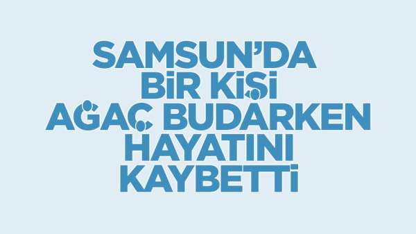 Samsun'da ağaç budarken hayatını kaybetti