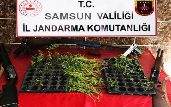 Samsun'da jandarmadan suç örgütüne darbe