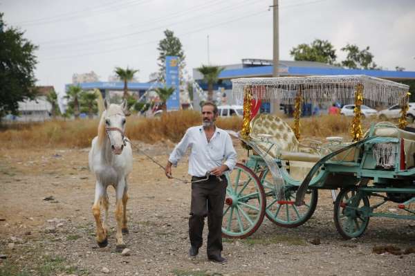 Antalya'da fayton dönemi sona erdi, atlar hayvanat bahçesine teslim edildi 