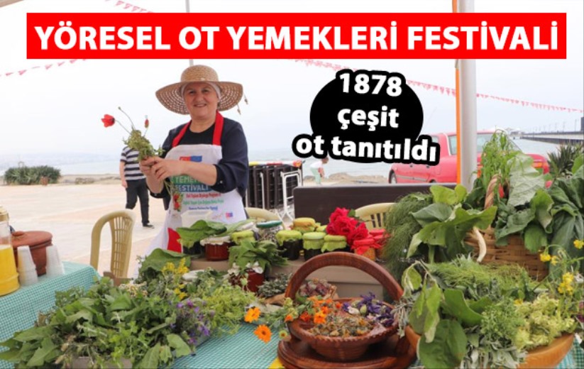 Yöresel Ot Yemekleri Festivali: 1878 çeşit ot tanıtıldı - Samsun haber