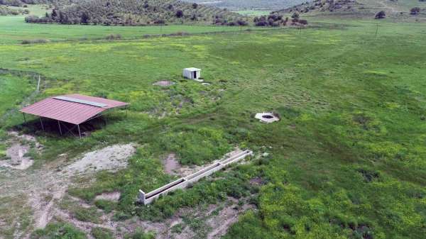 Muğla'da 4 yılda 19 bin dekar mera ıslahı yapıldı - Muğla haber