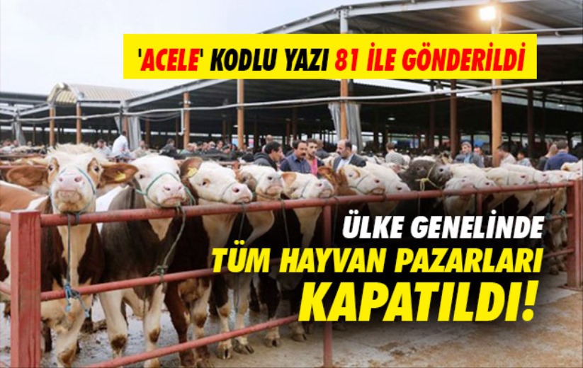 Ülke genelinde tüm hayvan pazarları kapatıldı! 'Acele' kodlu yazı 81 ile gönderildi