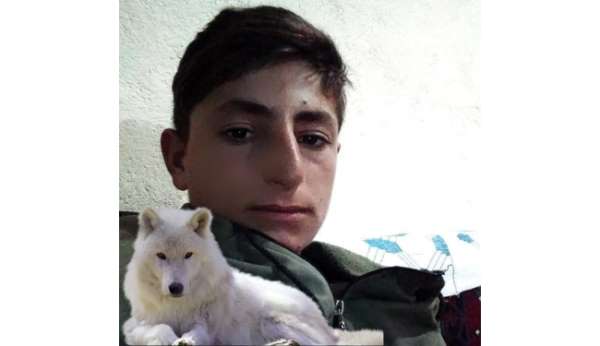 Muş'ta iş kazası: 20 yaşındaki genç hayatını kaybetti