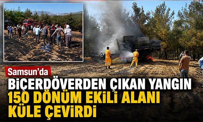Samsun'da biçerdöverden çıkan yangın 150 dönüm ekili alanı küle çevirdi