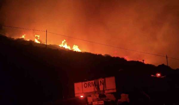 İzmir'de makilik alandaki yangın kontrol altında