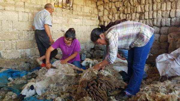 Kışın ders çalışıp yazın koyun kırkan Dilara elektrik elektronik mühendisliğini