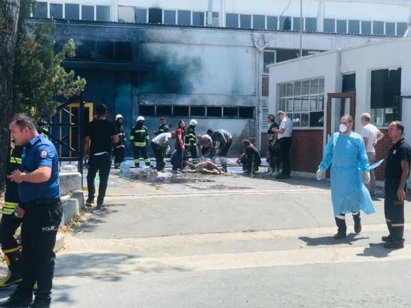 Tekirdağ'da fabrikada kimyasal patlama: Bölgeye çok sayıda ambulans sevk edildi