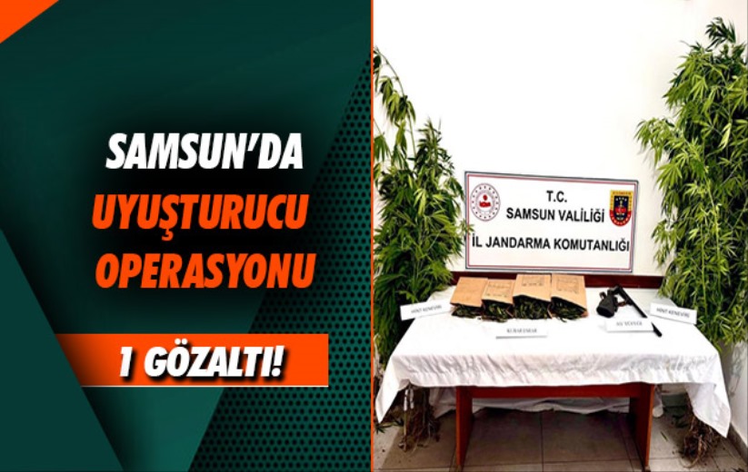 Samsun'da uyuşturucu operasyonu