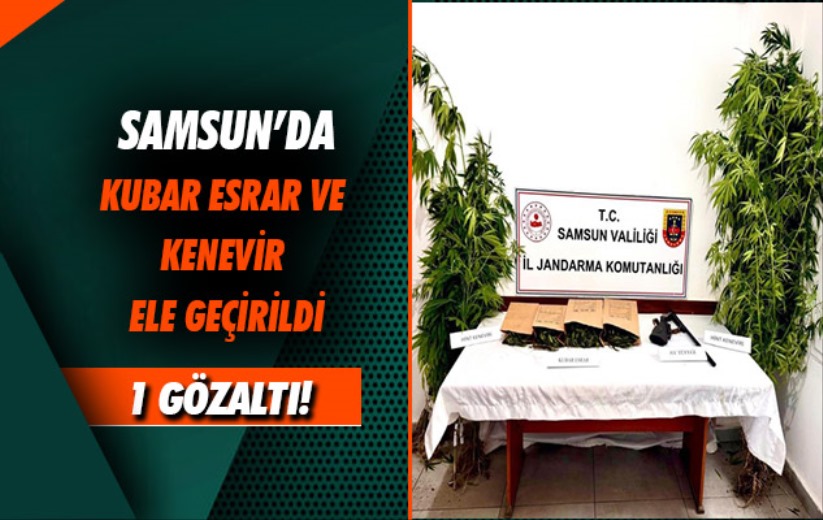 Samsun'da kubar esrar ve kenevir ele geçirdi