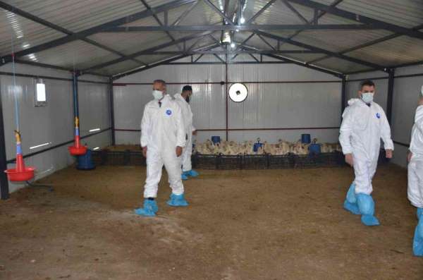 Bulanık'ta 'Kaz Yetiştiriciliği' projesi kapanış programı gerçekleştirildi