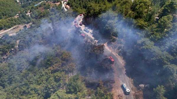 Alanya'da orman yangını 3 saatte kontrol altına alındı