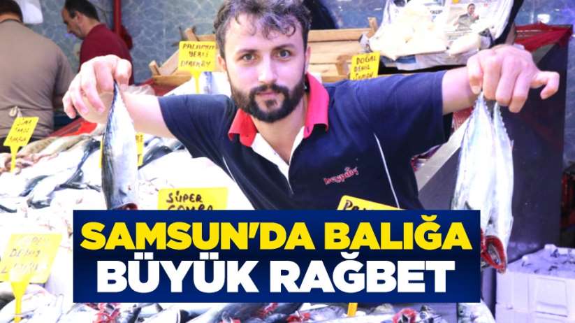 Samsun'da balığa büyük rağbet