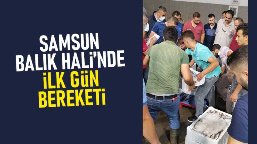 Samsun Balık Hali'nde ilk gün bereketi