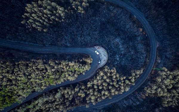 Tenerife Adası'ndaki orman yangının yol açtığı ekonomik kayıp 80.4 milyon euro