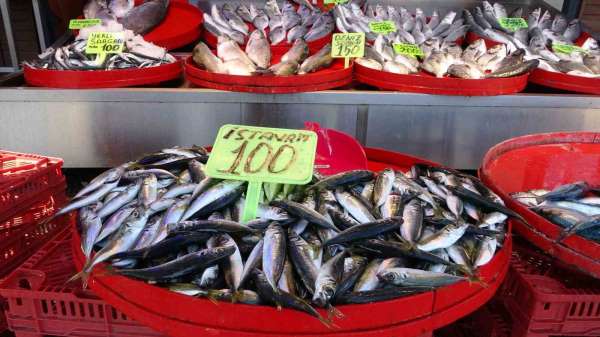 Trabzon'da balık av sezonu sönük başladı