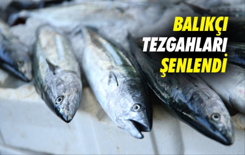 Balıkçı tezgahları şenlendi