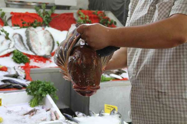 Çarşamba'da tezgahlar şenlendi