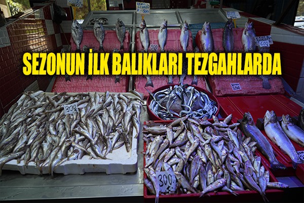 Sezonun ilk balıkları tezgahlarda