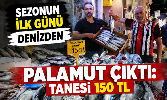 Sezonun ilk günü denizden palamut çıktı: Tanesi 150 TL