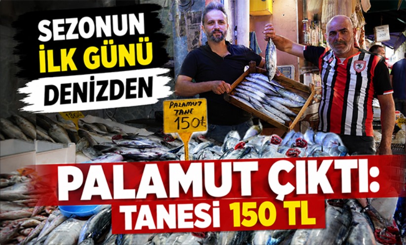 Sezonun ilk günü denizden palamut çıktı: Tanesi 150 TL