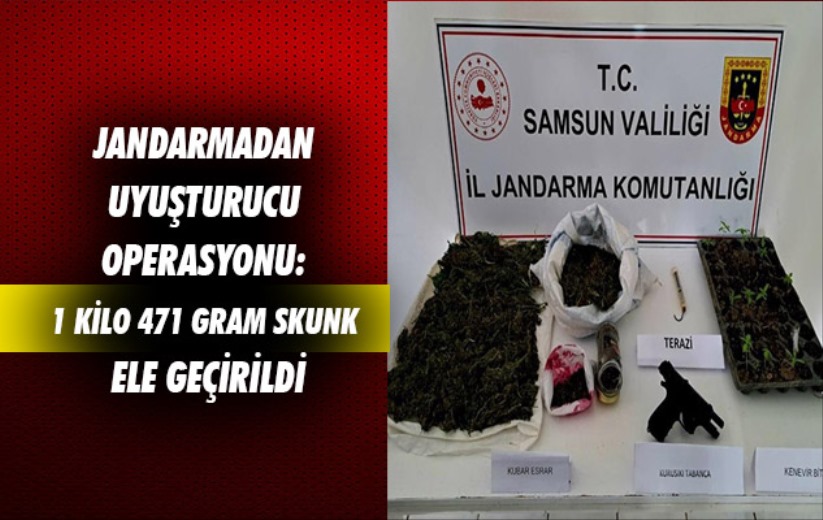 Samsun'da jandarmadan uyuşturucu operasyonu: 1 kilo 471 gram skunk ele geçirildi