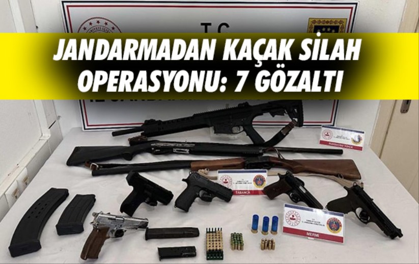 Samsun'da Jandarmadan kaçak silah operasyonu: 7 gözaltı