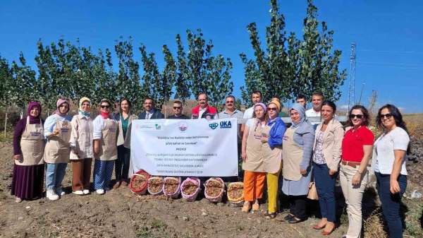 Çorum'da 'BizimOra'lı kadınların şifalı safran ve sarımsak projesine OKA desteği