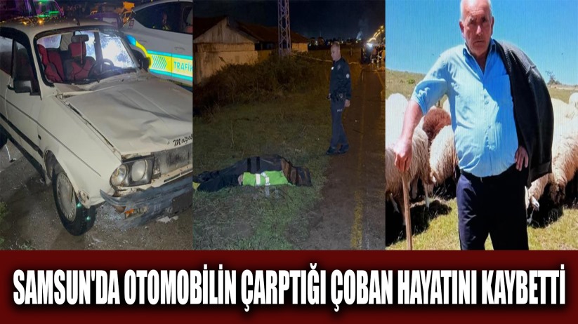 Samsun'da otomobilin çarptığı çoban hayatını kaybetti
