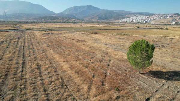 BYD'nin Manisa'daki fabrika sahasında sessizlik sürüyor