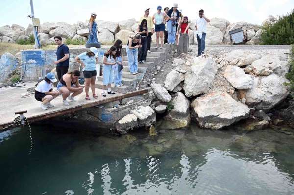 Mersin'de biyolojik çeşitlilik MINKA ile kayıt altına alınıyor
