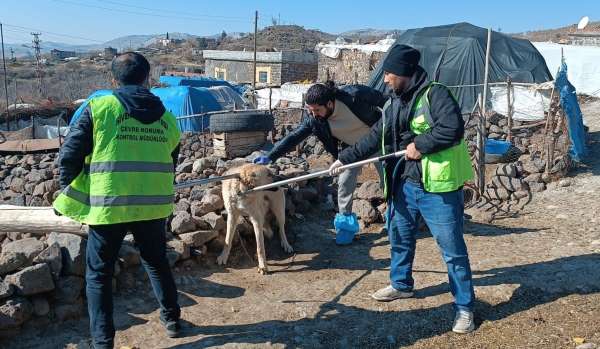 Siverek'te kuduz alarmı: Köpek saldırısında 3 kişi yaralandı, köy karantinaya alındı