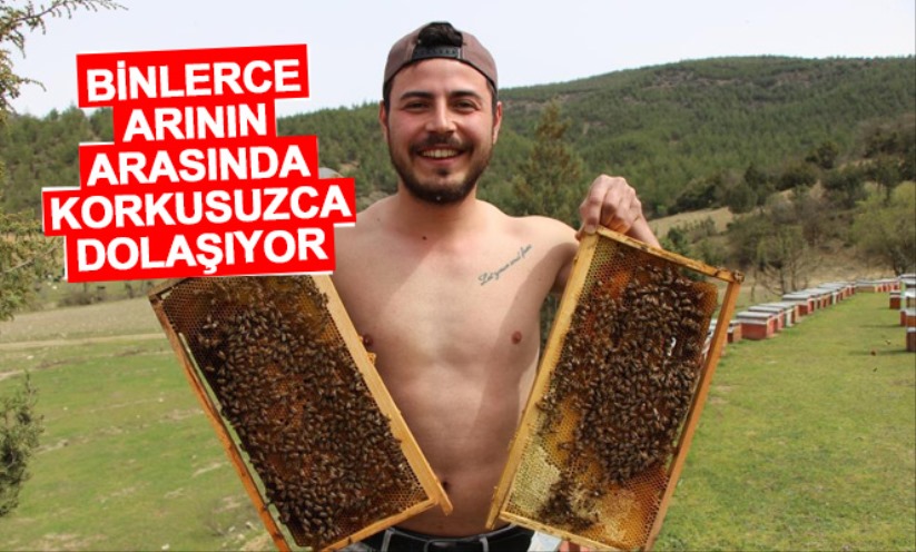 Binlerce arının arasında korkusuzca dolaşıyor - Amasya haber