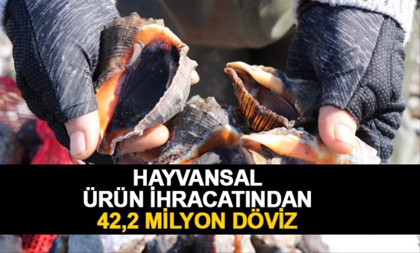 Hayvansal ürün ihracatından 42,2 milyon döviz