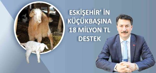 Küçükbaş hayvancılığa 18 milyon lira destek - Eskişehir haber