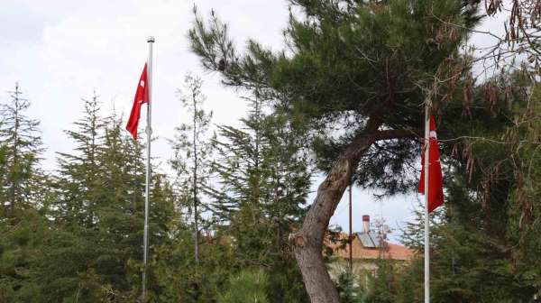 Şehit mezarlarında 'Türk bayrağı yok' iddiası yalan çıktı