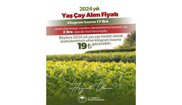 2024 yılı için kilogram başı yaş çay alım fiyatı 17 lira olarak belirlendi