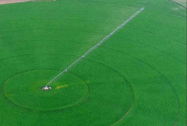 Prof. Dr. Yusuf Demir: 'Tarımda kullanılan suyun yüzde 60'ı israf' 