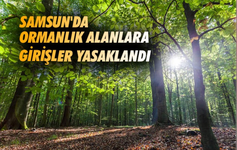 Samsun'da ormanlık alanlara girişler yasaklandı