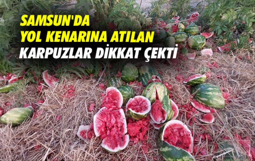 Samsun'da yol kenarına atılan karpuzlar dikkat çekti